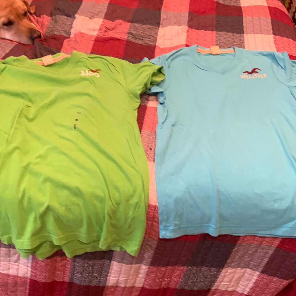Hollister tshirts